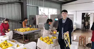 2台常山胡柚削皮机卖到浙江某公司 柚子削皮，价值倍增