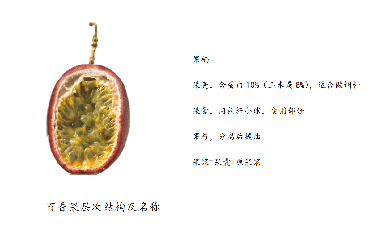 百香果结构.png 百香果结构.png